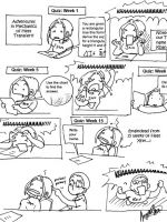 [44] - Khaaaannnn!! part II